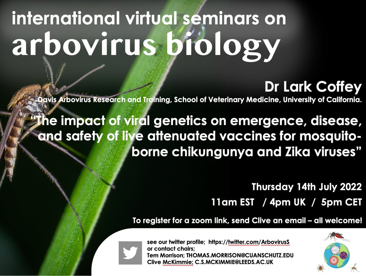 Hi arbovirus peeps! 

Final seminar of the series and we go out with a bang with @LCoffeyLab with her 🤩exciting talk on how viral evolution impacts #emergence, #disease, #vaccine_safety for 🦟borne #zika #chikv

As a community-driven project, RTs really help spread the word