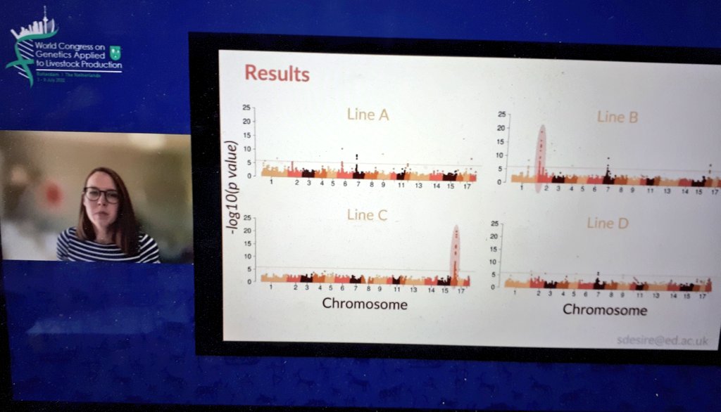 Martin Johnsson tweet media