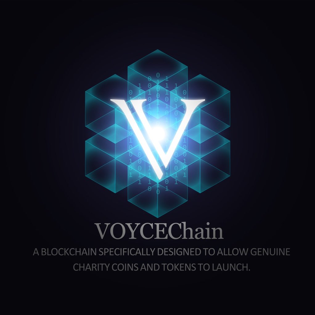 Voyce Token is a charity orientated crypto currency on the Binance Smart Chain aiding homeless charities worldwide.