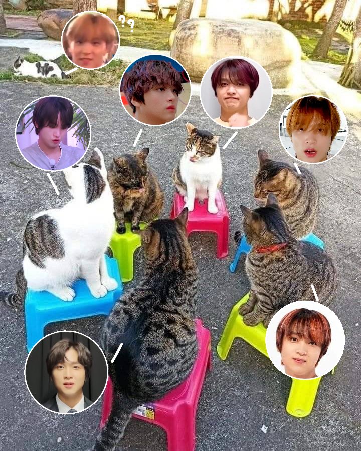ยุนาคนธรรมดาเดินดิน tweet media