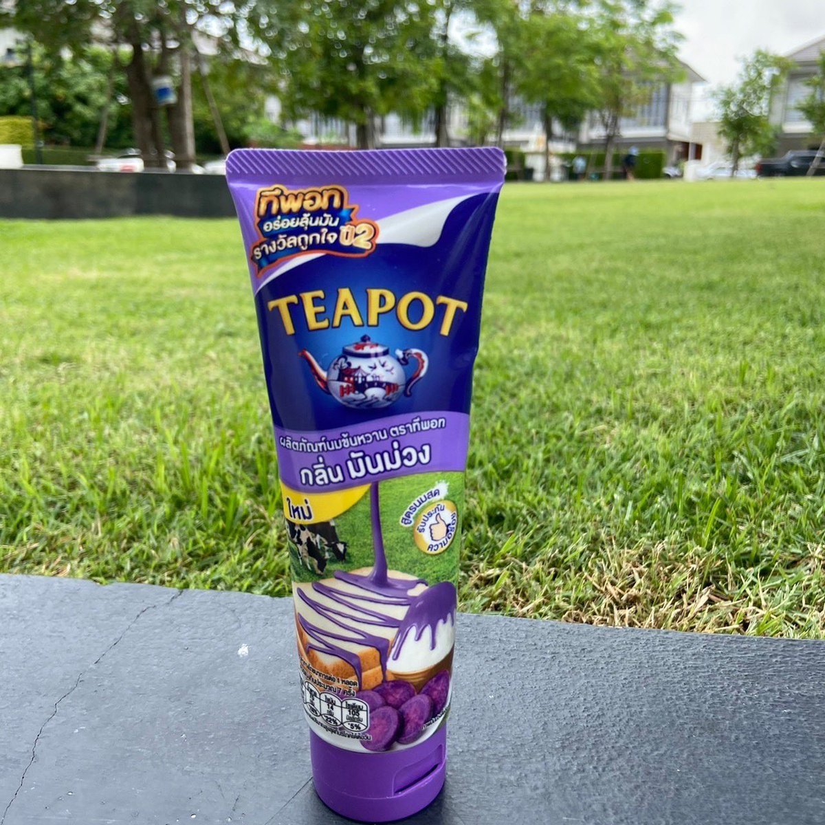 paiginaroundtheworld tweet media