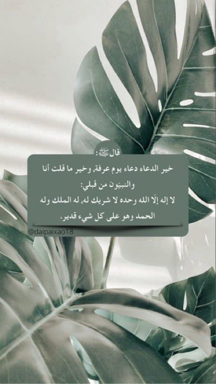 Aljanh_30's tweet photo. #اليوم_العظيم https://t.co/aLJXR1NySd