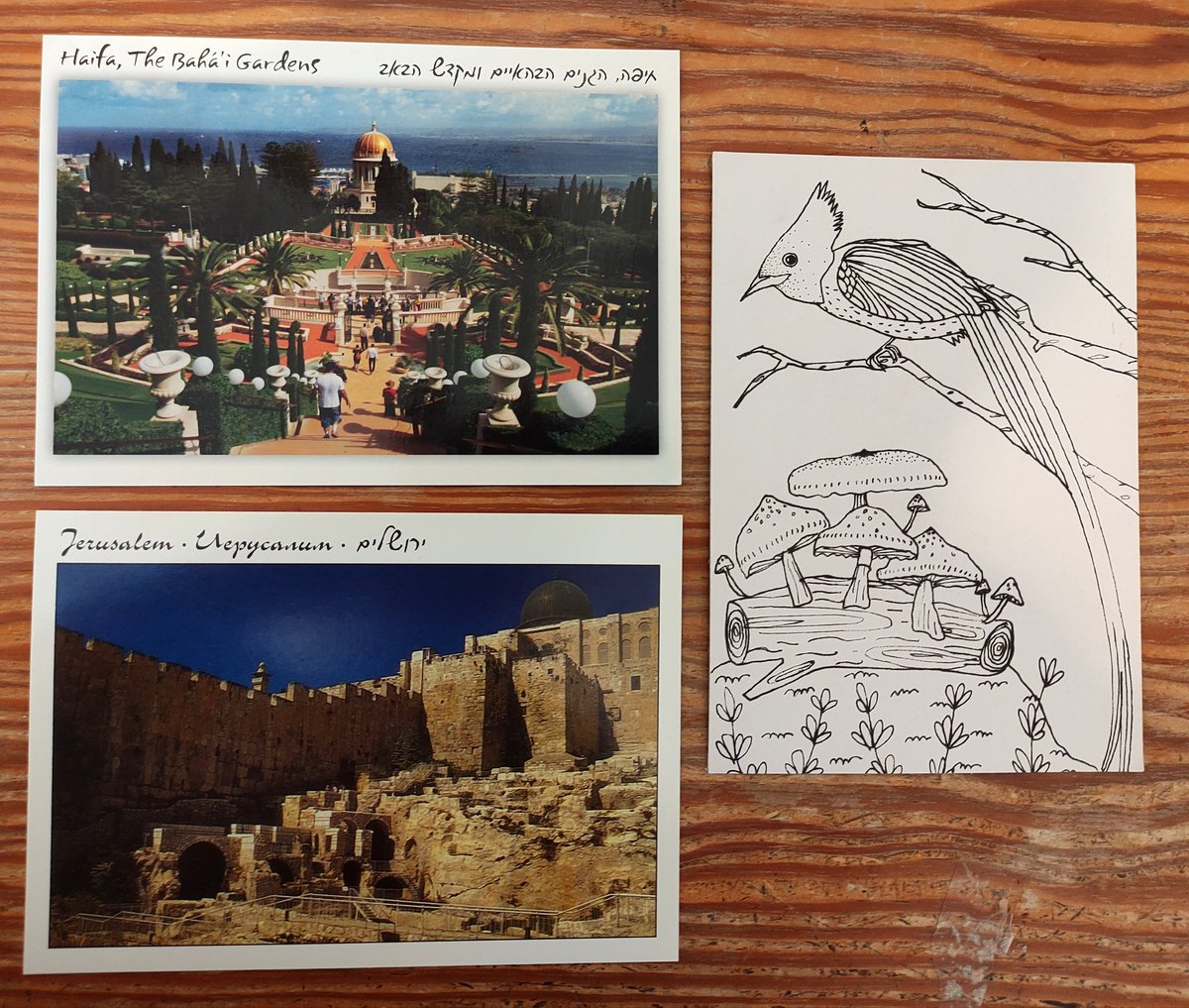 SnailMailHanna's tweet photo. Outgoing 8.7.22

#postcrossing #postcard #penpalooza https://t.co/HYCz4FKmnC
