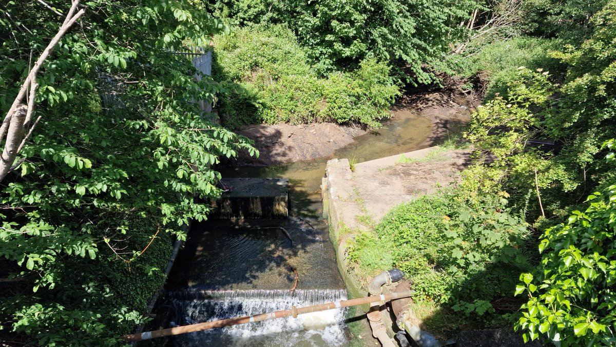 ForthDSFB's tweet photo. Great to see @ScottishPower remove the Bluther Burn Weir as part of the decommissioning works of Longannet Power Station. Weir restricted salmon and sea trout movements in the catchment. This will help them recover. https://t.co/DaGwGYNJaT