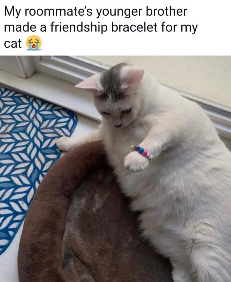 RespectfulMemes's tweet photo. https://t.co/EPnoE1P8Vw