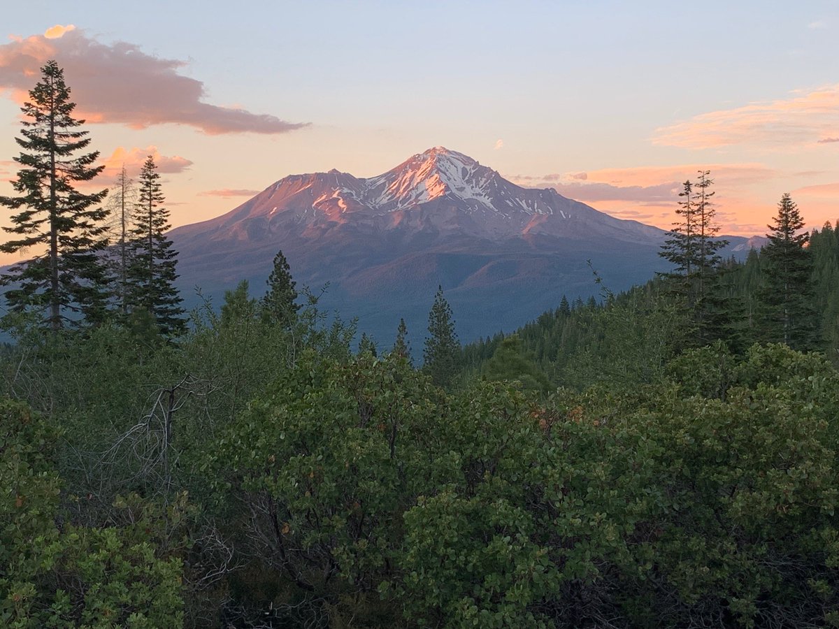 normandeauassoc's tweet photo. Did you know that Normandeau has offices on the West Coast? Check out this stunning photo from our California office. Despite the continuing drought and low snowpack, Mount Shasta never fails to impress! 
#Normandeau #WestCoast #California #MtShasta https://t.co/zonCP8azeS