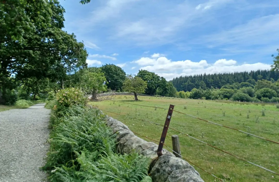 sandyclem's tweet photo. Fewston and Swinsty Reservoirs today @yorkshire_dales #Fewston #swinsty #robin #willowwarbler #birdphotography #birds #BirdsPhotography #birdsbirdsbirds #NaturePhotography #naturelovers https://t.co/lDhSS5zBkQ
