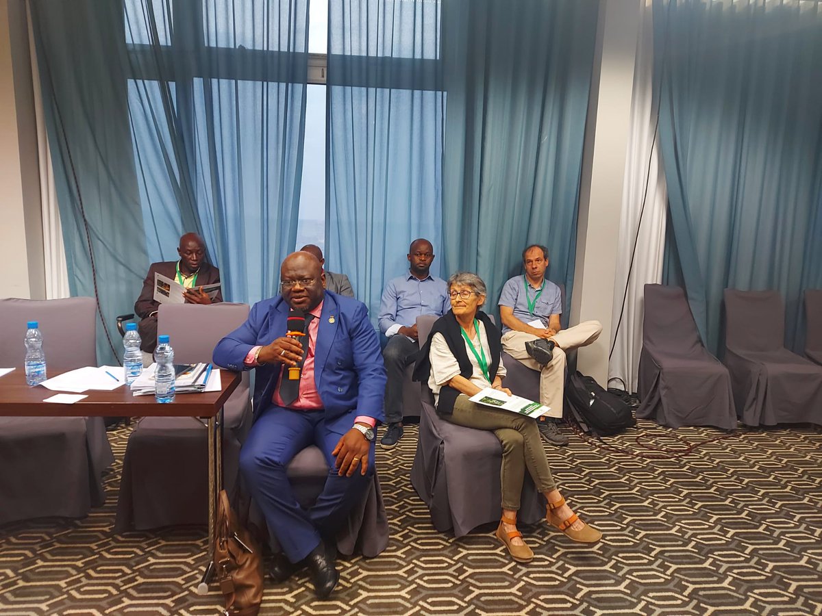 dynafac's tweet photo. Thank to the SE of @COMIFAC for the moderation of our panel #RDP19 https://t.co/KQGmLCb69K