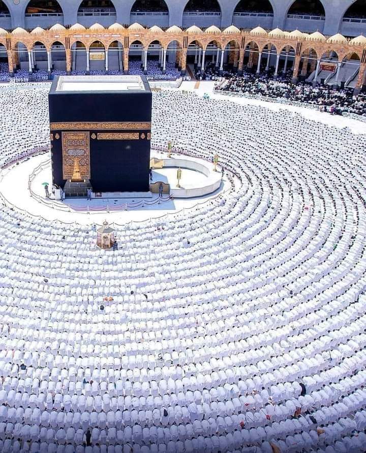 KundiWaseef's tweet photo. فتنوں کے دور میں 
دنیا کا خوبصورت  ترین منظر 
اللہ تعالیٰ ہمیں بھی توفیق عطا فرمائے کہ ہم ایسے ہی سجدہ ریز ہوں 
یا اللہ ہمیں بھی اپنے گھر بلا https://t.co/L0mKCIkya5