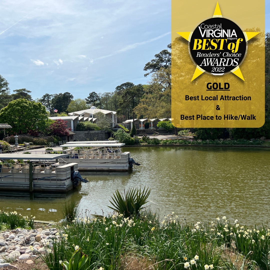 City of Norfolk, VA (@norfolkva) on Twitter photo 🏅🏅 <a href="/NorfolkBotanic/">Norfolk Botanical Garden</a> wins GOLD for <a href="/coastalvamag/">Coastal Virginia Mag</a>'s Best Local Attraction and Best Place to Hike/Walk!
Learn more about Virginia’s largest botanical garden, tickets, events and more at: norfolkbotanicalgarden.org 🏅🏅 <a href="/NorfolkBotanic/">Norfolk Botanical Garden</a> wins GOLD for <a href="/coastalvamag/">Coastal Virginia Mag</a>'s Best Local Attraction and Best Place to Hike/Walk!
Learn more about Virginia’s largest botanical garden, tickets, events and more at: norfolkbotanicalgarden.org