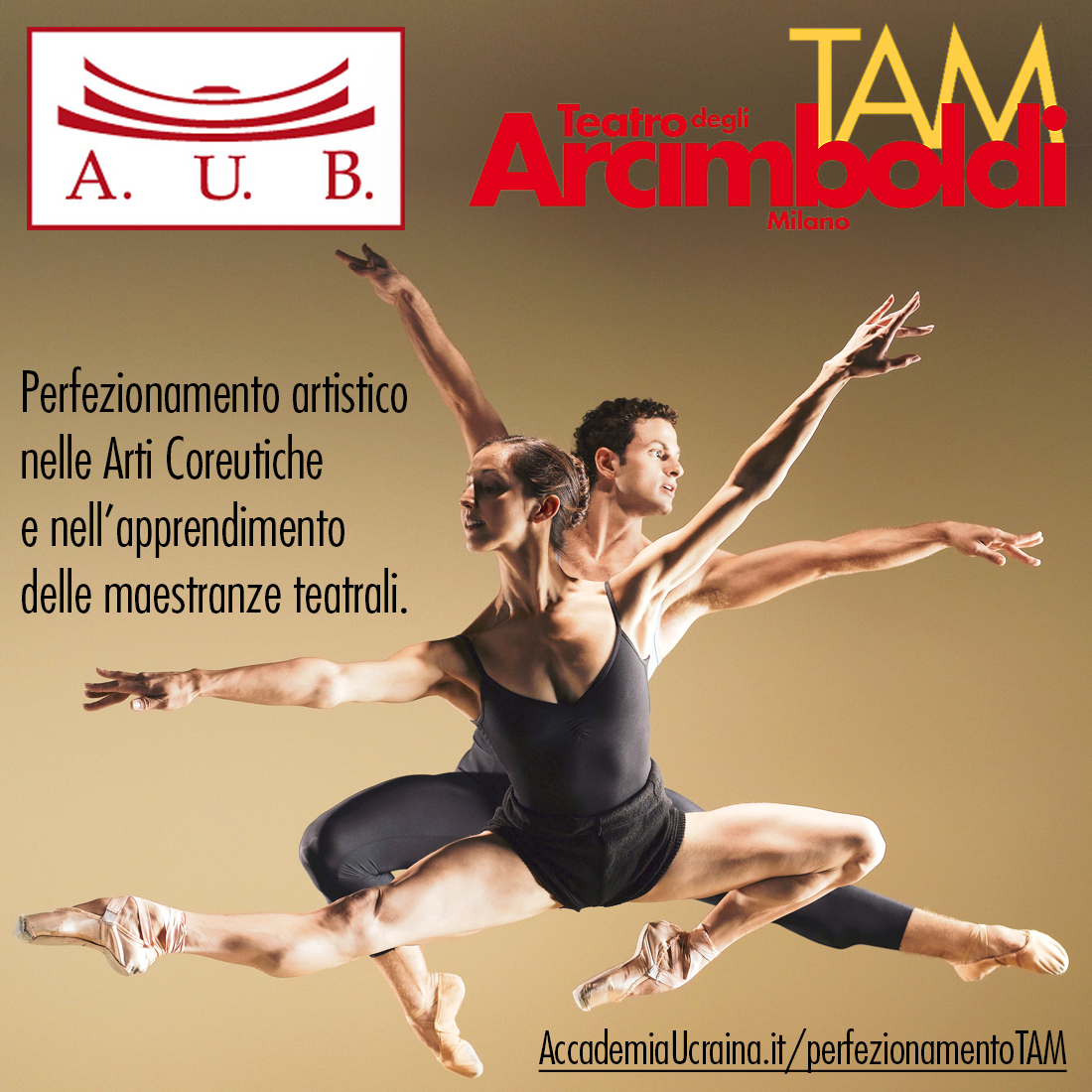 🩰  Perfezionamento TAM  #Danza 
Teatro Arcimboldi Milano  &amp;
Accademia Ucraina di Balletto
👉 accademiaucraina.it/perfezionament…
#Corso per colmare il divario tra formazione e pratica professionale per #ballerini l'opportunità per una carriera con Teatri e Compagnie di #Balletto.