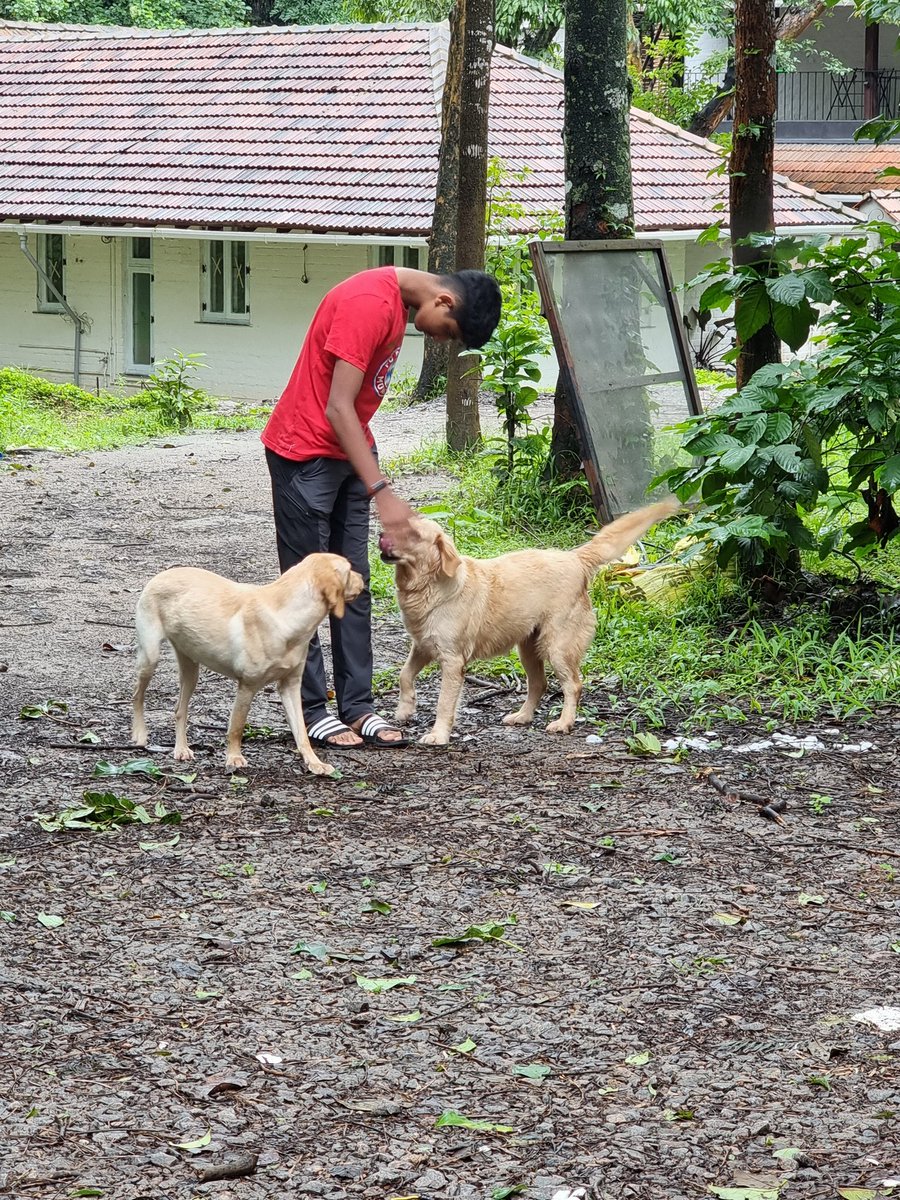 Pratignya's tweet photo. 8 months of school  deserves 6 weeks of time off in nature. Add 3 dogs and work is worth it... @komorebikarnataka https://t.co/KpJcATitDa