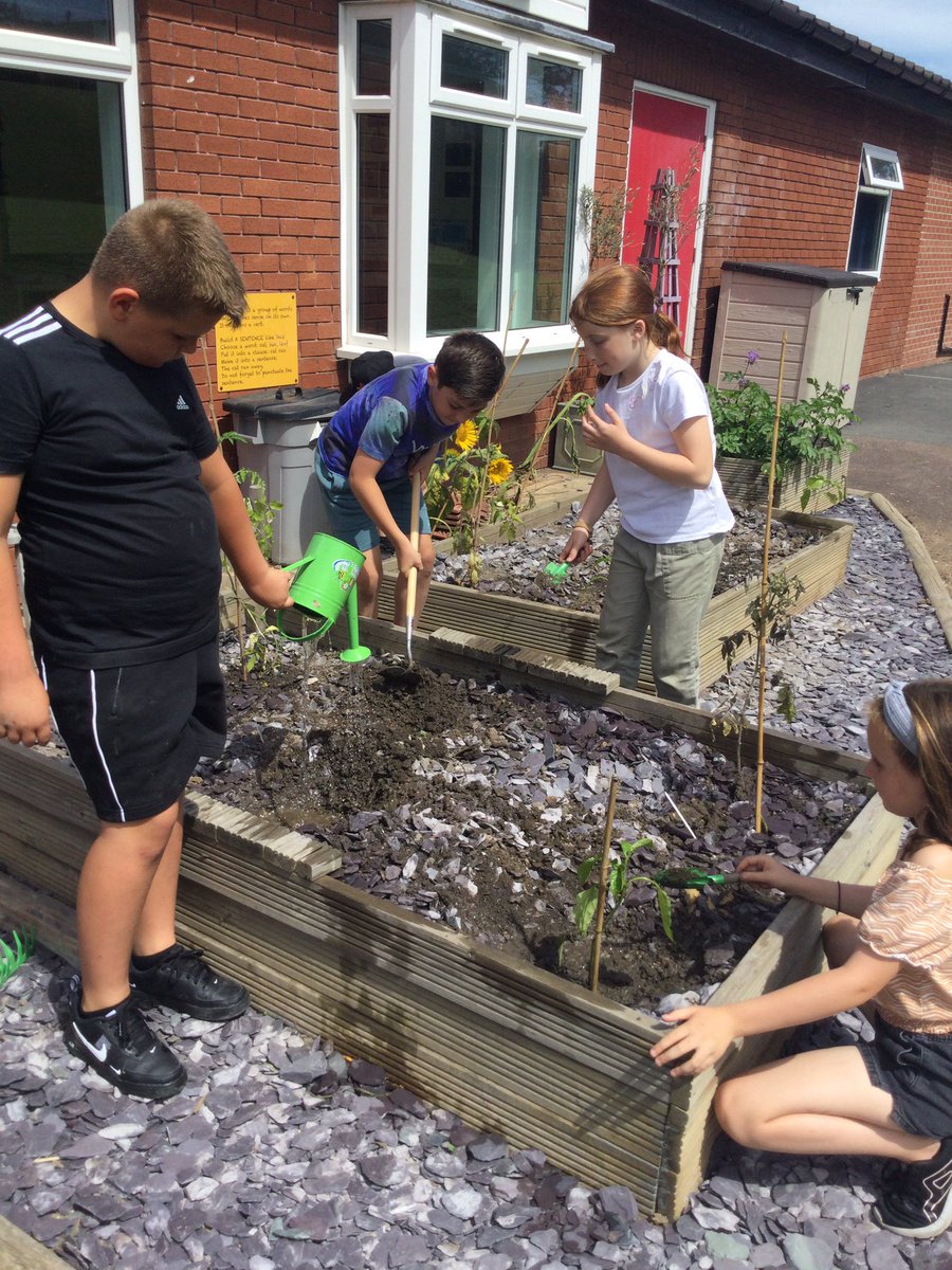 Supreme Green tweet media