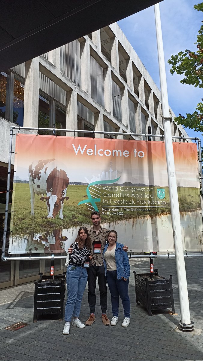 Adri 🐮🧬 (@adrianelece) on Twitter photo Some of the <a href="/INIA_es/">INIA-CSIC</a> PhD students are leaving Rotterdam already! Thank you so much <a href="/wcgalp2022/">WCGALP2022</a> for the amazing opportunity of explaining our thesis projects to such amazing professionals. We'll see you as doctors (hopefully) at <a href="/wcgalp2026/">WCGALP2026</a>.
#WCGALP2022 Some of the <a href="/INIA_es/">INIA-CSIC</a> PhD students are leaving Rotterdam already! Thank you so much <a href="/wcgalp2022/">WCGALP2022</a> for the amazing opportunity of explaining our thesis projects to such amazing professionals. We'll see you as doctors (hopefully) at <a href="/wcgalp2026/">WCGALP2026</a>.
#WCGALP2022