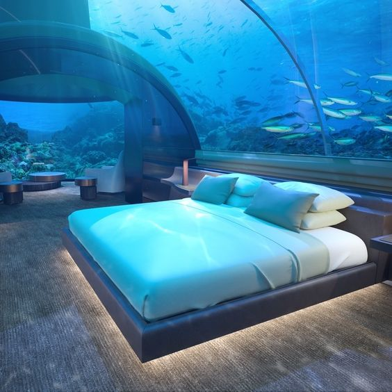 MandingoFrazier's tweet photo. Underwater Hotel Room, I cant even imagine how cool this would be to stay in. https://t.co/6jl4Dod9SO