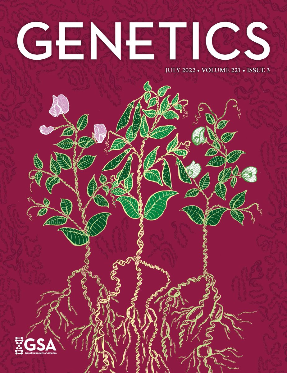 The July cover of #GENETICS celebrates this month's 200th anniversary of Gregor Mendel's birth! Designed by <a href="/vividbiology/">Vivid Biology</a>, it depicts his famous pea plants and represents how much the field of genetics has grown. #mendel200 #GregorMendel <a href="/MendelBrno/">Mendel</a> bit.ly/3Pc9WU3