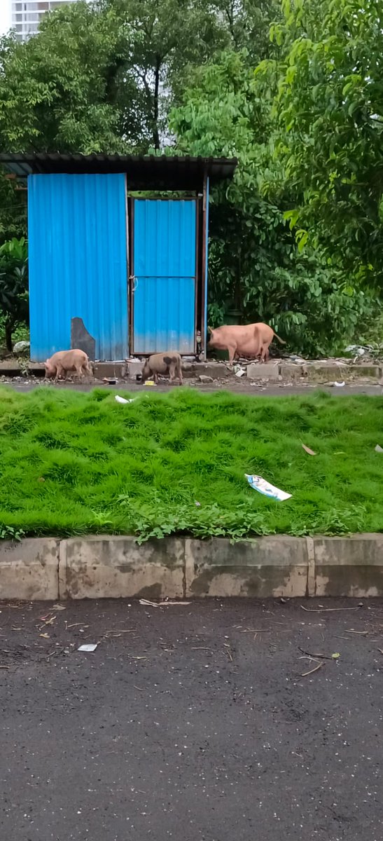 DostiOak's tweet photo. @TMCaTweetAway This is the trouble which has already started...kindly do something immediately... In front of Dosti Oak entrance https://t.co/UXxmIhRL6K