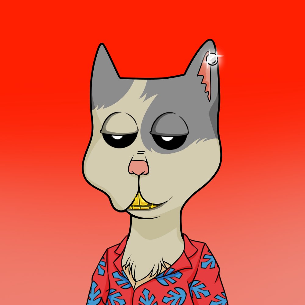 Finally, got my first <a href="/BossCatRC/">Boss Cat Rocket Club</a> ! Does BossCat follow BossCat still a thing? 🥺♥️ 
#CNFT #BCRC #Cardano #CNFTCommunity #NFT