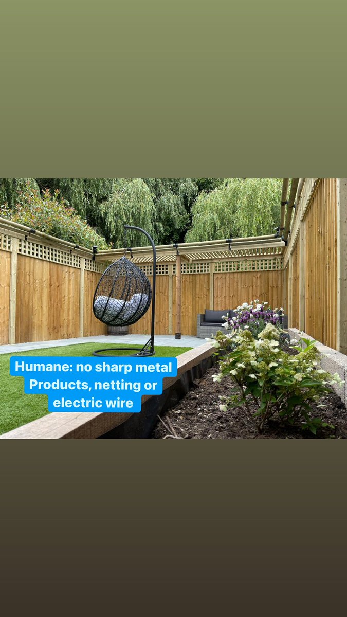 katzecure's tweet photo. More reasons to choose Katzecure 
•
•

#Cats #Katzecure #catstagram #catsofinstagram #catcontent #rollercat #UKcats #catfence #pussycat #safecat #cat #catlove #catio #ilovecats #catgarden #meow #kitten #securecats #ilovecats https://t.co/Xz4vxPi0KC