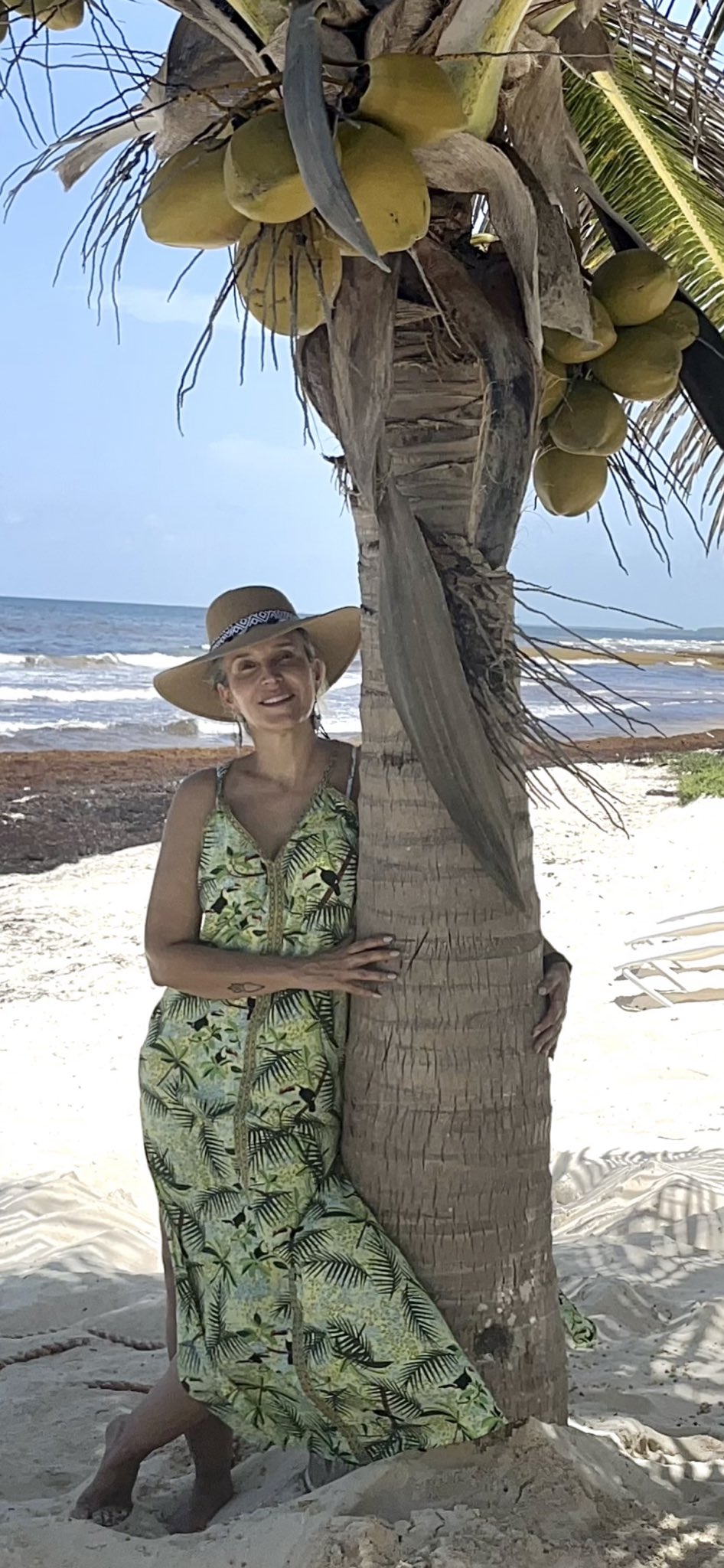 Isabella del Rio 🛄 OFICIAL 🇧🇷 on Twitter: "She is a tree huger 🌴🏝🌴 ️🏖☀️