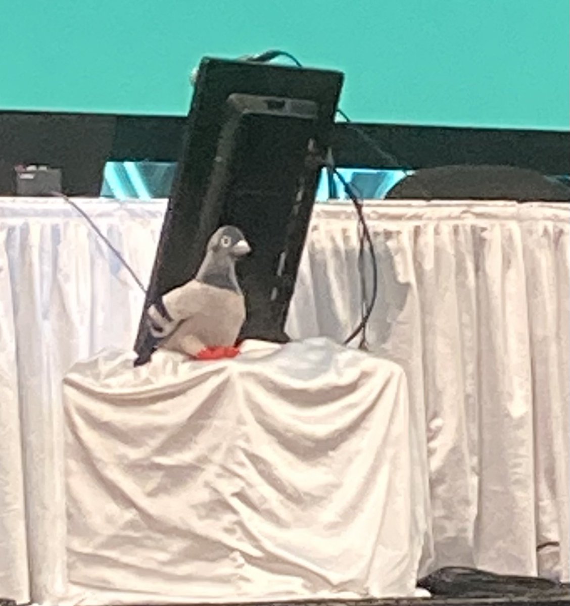 ecclesiangst's tweet image. Just now noticed the pigeon up on the podium, to my great delight! #GC80