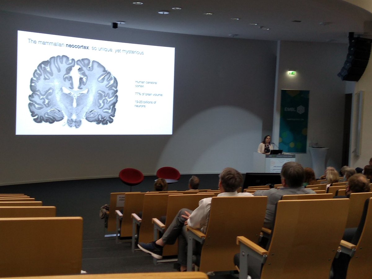 Alejandro Reyes (@areyesq) on Twitter photo Back to <a href="/embl/">EMBL</a> for a day, dropping by to congratulate the John Kendrew awardees of last three years, @matosches, <a href="/theWittySquare/">Ilaria Piazza</a> and <a href="/GiorgiaWithAnI/">Giorgia Guglielmi (she/her)</a>. #embllabday pic.x.com/vxPkUaMoq0 Back to <a href="/embl/">EMBL</a> for a day, dropping by to congratulate the John Kendrew awardees of last three years, @matosches, <a href="/theWittySquare/">Ilaria Piazza</a> and <a href="/GiorgiaWithAnI/">Giorgia Guglielmi (she/her)</a>. #embllabday pic.x.com/vxPkUaMoq0