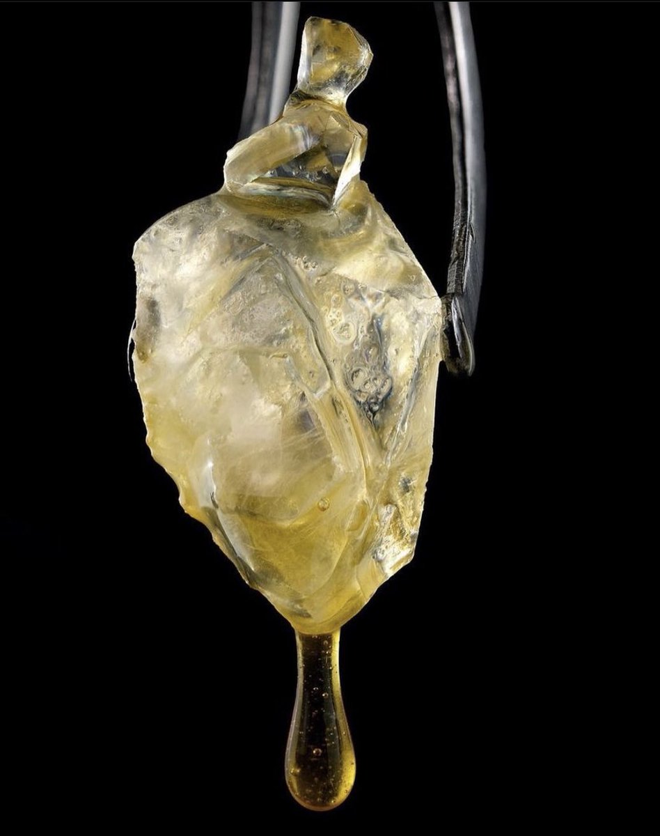 A G R I F Y tweet media