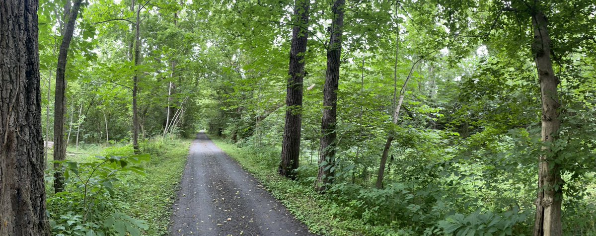 hatchdw's tweet photo. A few fav photos from my long walk yesterday. 17.4 mi. #EdwardsFerry to #PointOfRocks #candocanal #MonocacyAqueduct #Nature #WashingtonDC #VacationMode https://t.co/IdiOsGmMlK