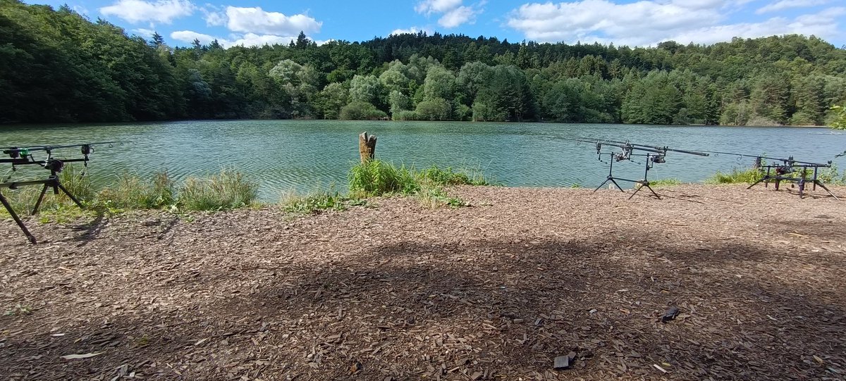 CarpSlo's tweet photo. Beautiful, wish me luck 💪💪💪

#carp #carpfishing #fishing #fishinglife #angling #ribolov #slovenia https://t.co/UzcfAjW53m