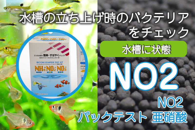Follow 水草動画 S Mizukusatv Latest Tweets Twitter