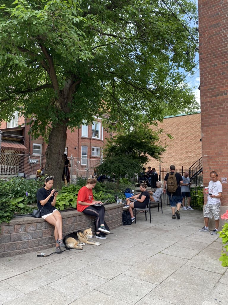 Lex Harvey tweet media