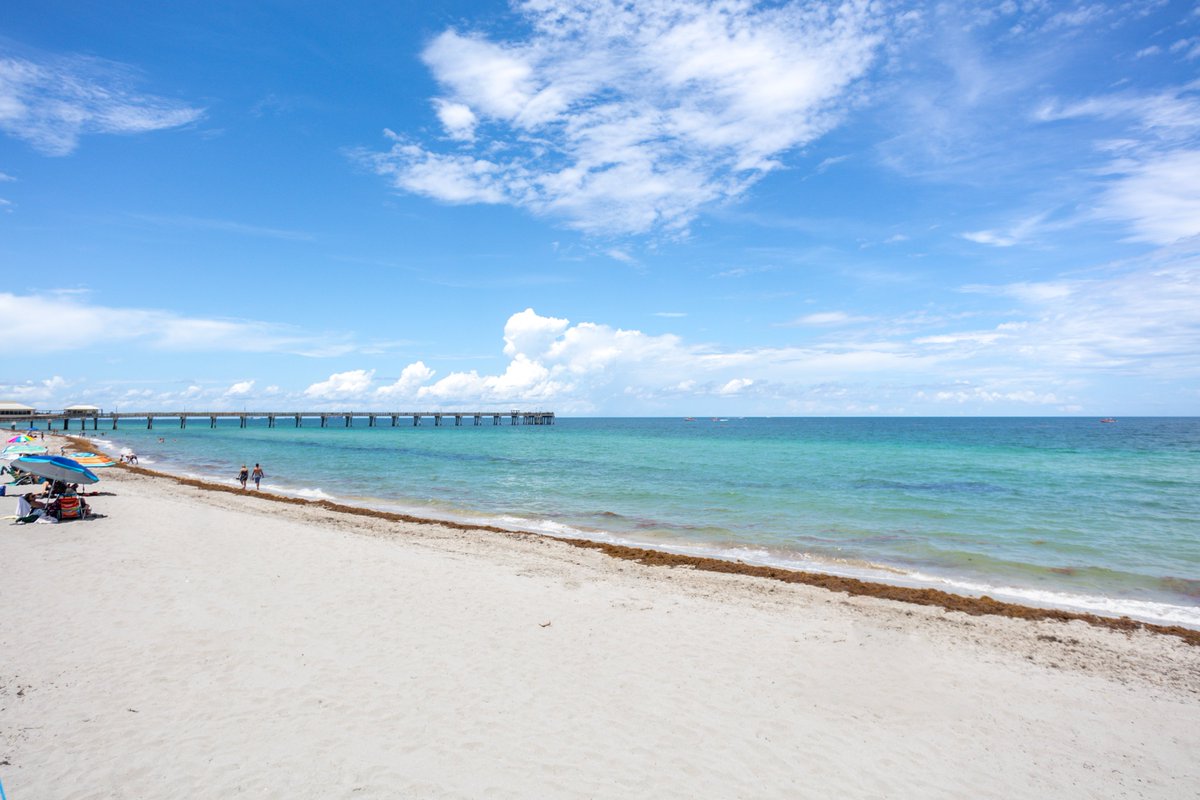 FAUBroward's tweet photo. Not only is it a beautiful place to study, FAU SeaTech is also home to one of the nation’s 1st Ocean Engineering programs.
#OceanEngineering #FAU #FAUBroward #FAUDania #DaniaBeach #StudyInTheSun #STEMFlorida https://t.co/lqnT3rHNlR