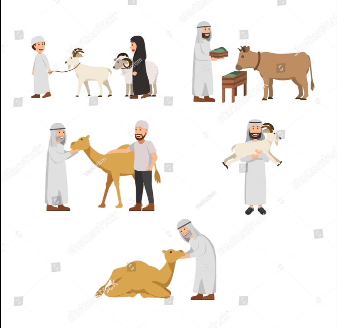 veganrover's tweet photo. True Muslims preach love and kindness. They don't kill and slaughter innocent beings. Mercy 
 #StopAnimalSacrifice
#DeleteSection28
#GoVegan
#BanBakraEid  #StopAnimalSacrifice
#DeleteSection28
#GoVegan
#BanBakraEid  #StopAnimalSacrifice
#DeleteSection28
#GoVegan
#BanBakraEid https://t.co/b4Sz7by8QK
