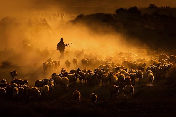 Dusty roads is an amazing documentary photography by <a href="/Murat_ilhan_NFT/">Murat İlhan</a> available in the collection #ThePrologue