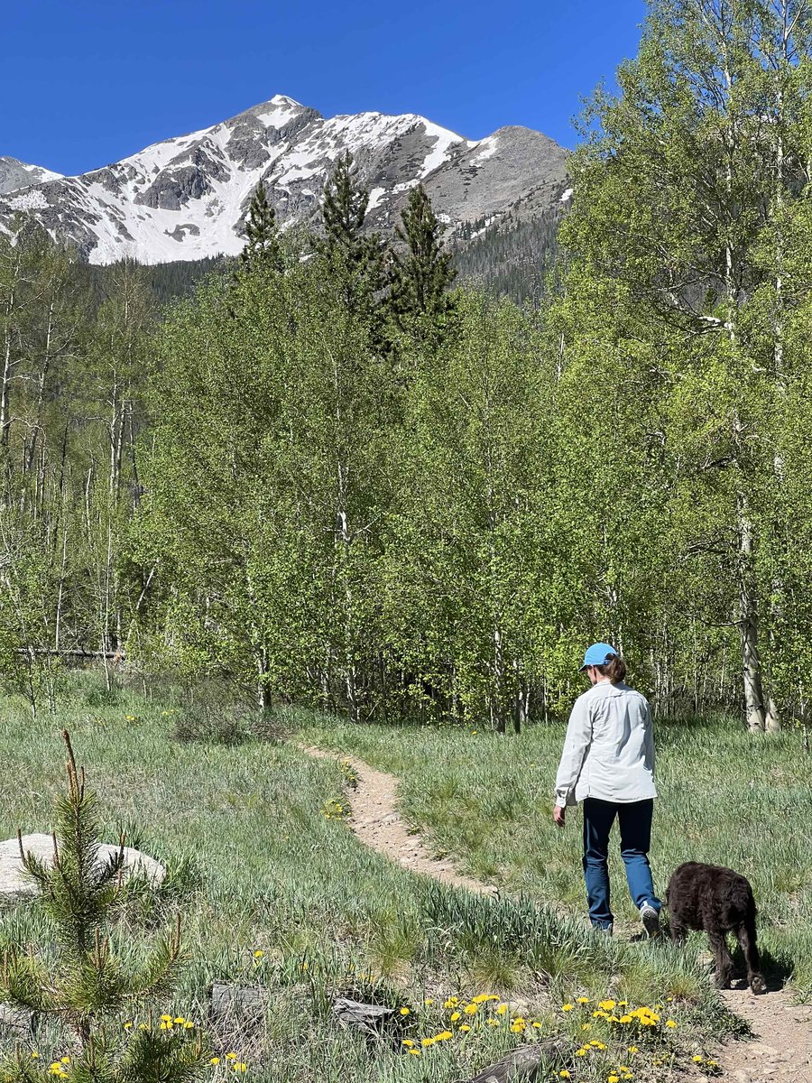 When not working, Kate enjoys taking Sienna hiking near home- Frisco, CO.