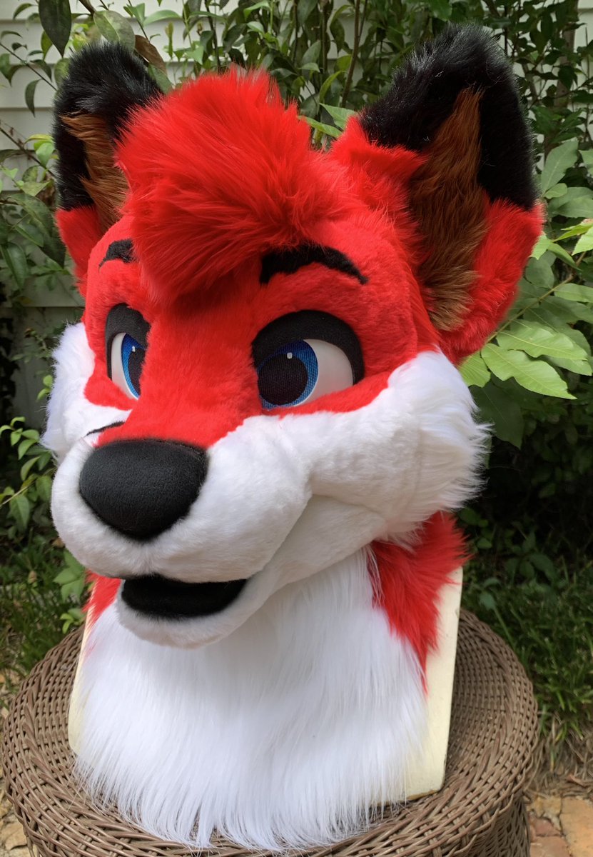 Astus Fox is so vibrantly red❣️