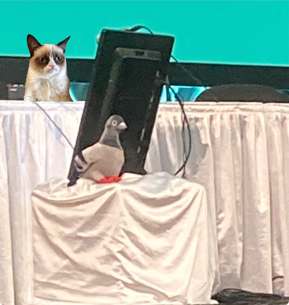 GrumpyEpiscoCat's tweet image. I AM ON THIS @ecclesiangst #GC80