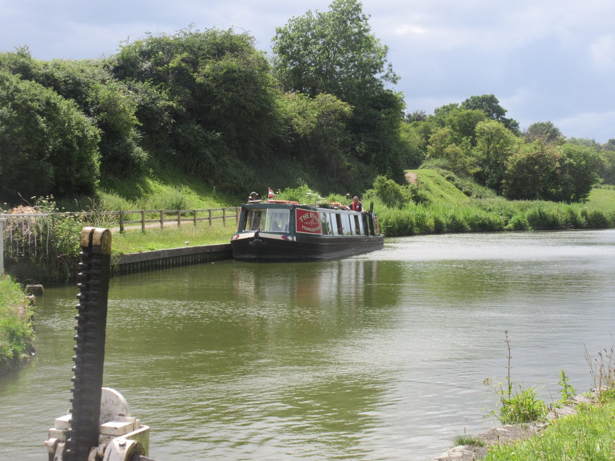 The Rose of Hungerford tweet media