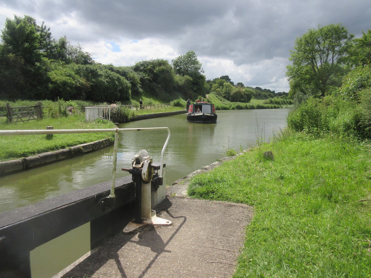 The Rose of Hungerford tweet media