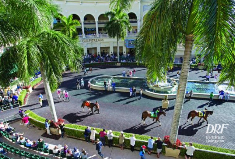 daily-racing-form-on-twitter-gulfstream-park-love-her-lots-brings