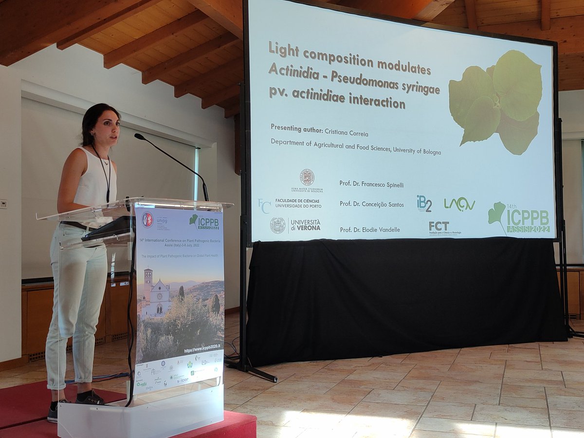 JoanaGVicente's tweet photo. Cristiana Correia presentation on light composition modulation on interactions between Actinidia and Pseudomonas syringae pv. actinidiae. @icppb2020 #ICPPB2022Assisi #ICPPBASSISI https://t.co/olQnmAn5yw