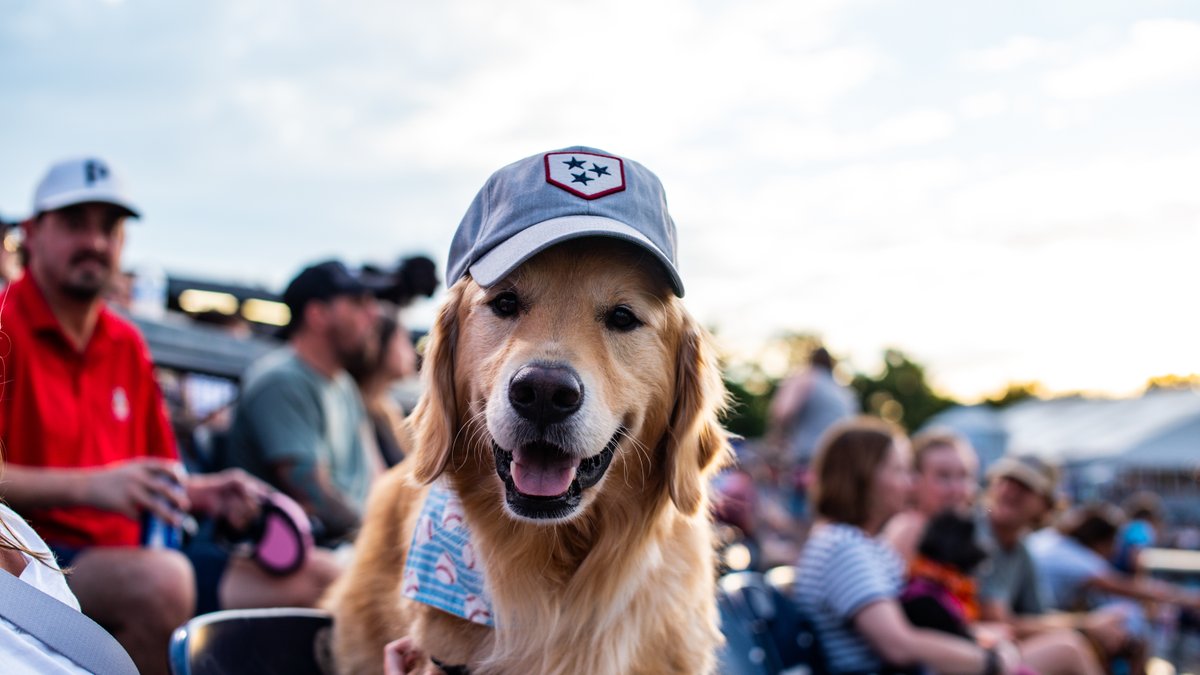 Happy @TitosVodka Tail Waggin' Tuesday! Bring your pup to the game tonight to hang out with all their friends. Proceeds from all dog tickets sold tonight will benefit @oldfriendssds: atmilb.com/3ytZK1P