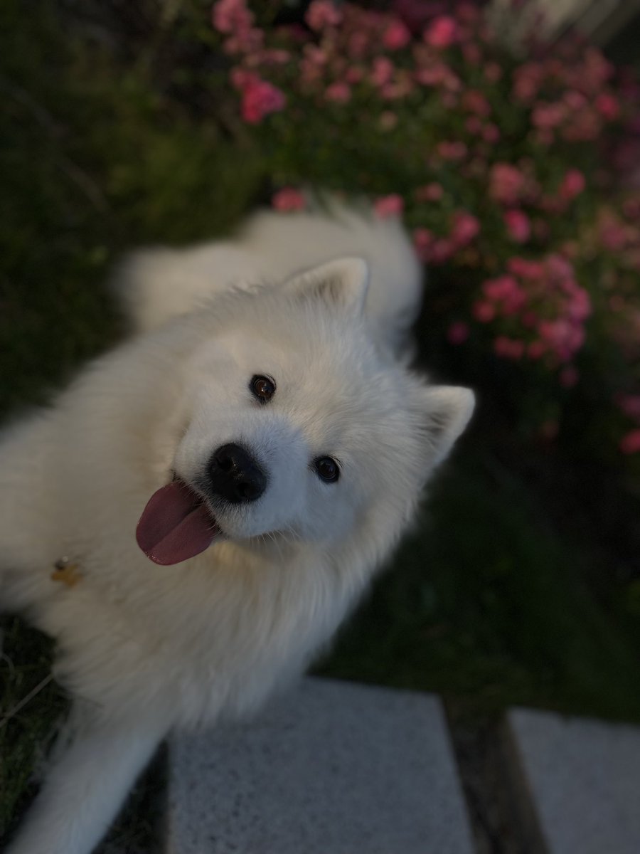 Hello friends ❤️ #NFTCommunity