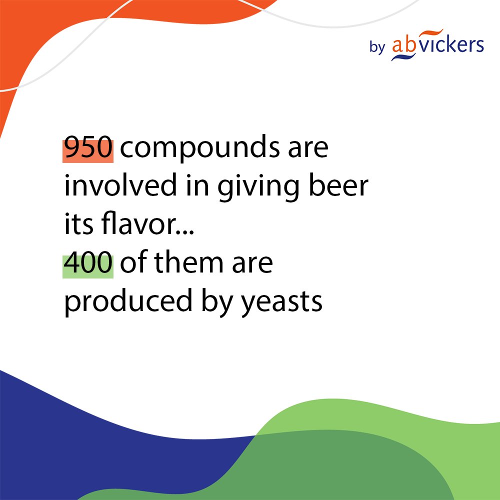 lallemand_brew's tweet photo. 🔬Here are some yeast nutrition facts!
Swipe to learn more
#lallemandbrewing #webrewwithyou #brewingyeast #yeastnutrition #offflavor #beerflavor #beer https://t.co/sHdzcpldvu