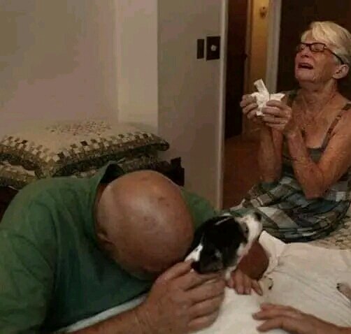 vitorinopv's tweet image. "Jamás lo entenderás hasta que lo hayas vivido".😢😭