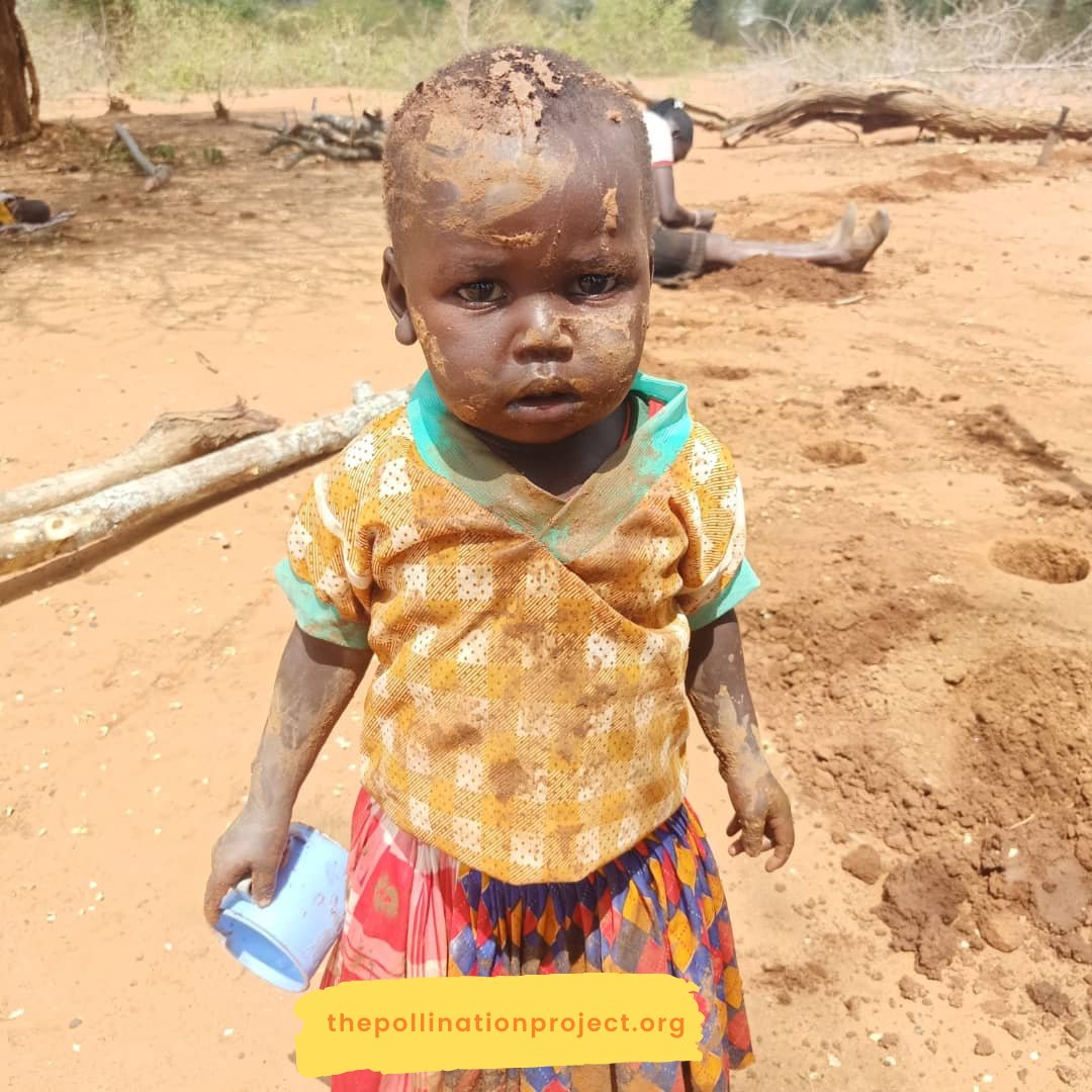 Pollinationproj's tweet photo. "I want to change my community one book at a time."

"The Library Manyatta" is a project created by  @CMD_Africa1  to promote literacy and to ensure that every disadvantaged child has access to books and information to reach their full potential in West Pokot county, #kenya https://t.co/WNzCe6gd0S