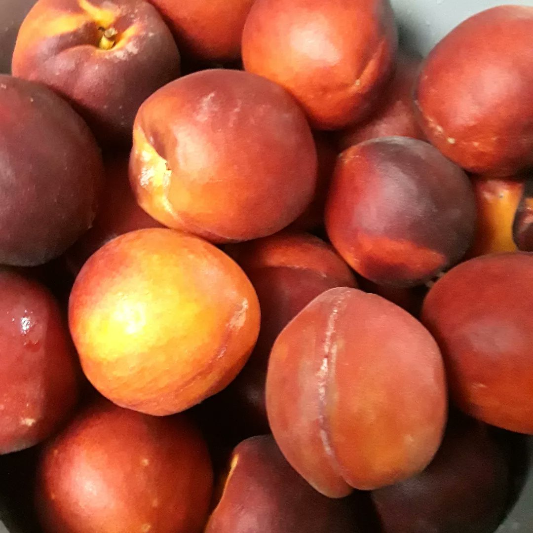 Curmudgeon Ale Works tweet media