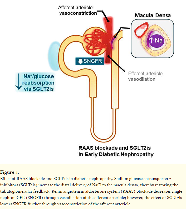 Hopkins Nephrology (@hopkinsneph) on Twitter photo Because there is nothing simple about diabetic kidney disease...
We are happy to share an Open Access book chapter, "New Era on Diabetic Kidney Disease," by our faculty <a href="/Elena_Cervants/">Elena Cervantes</a> <a href="/MoHanouneh/">Mo Hanouneh</a> <a href="/hopkinsneph/">Hopkins Nephrology</a>
👇🔖
intechopen.com/online-first/1… Because there is nothing simple about diabetic kidney disease...
We are happy to share an Open Access book chapter, "New Era on Diabetic Kidney Disease," by our faculty <a href="/Elena_Cervants/">Elena Cervantes</a> <a href="/MoHanouneh/">Mo Hanouneh</a> <a href="/hopkinsneph/">Hopkins Nephrology</a>
👇🔖
intechopen.com/online-first/1…