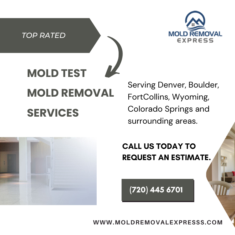 MoldRemovalXP's tweet photo. Professional viable mold testing  &amp;removal. We are here to help take care of all your needs, whether it be for testing or mold removal.
Visit our website to know about us. Contact us today to book an appointment.

#denver #boulder #fortcollins #wyoming #colorado #coloradosprings https://t.co/DySqjkZAlF