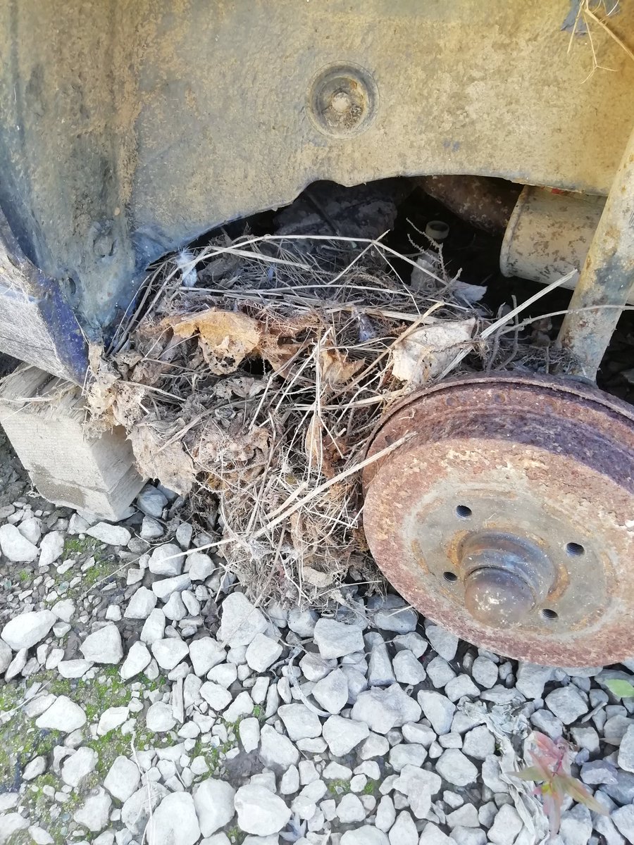 Mk2 last week and an end-of-the-line mk3 this week. Wouldn't have been many mk3's on an R-plate as the mk4 was introduced in the UK in the first half of '98.